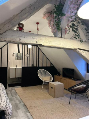 LE LOFT DU DOUBS